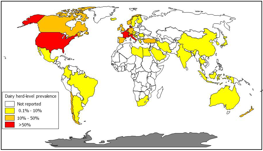 Global herd-level prevalence for dairy cattle.