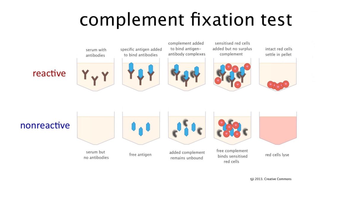 CF fixation) assay Johne's Information Center UWMadison