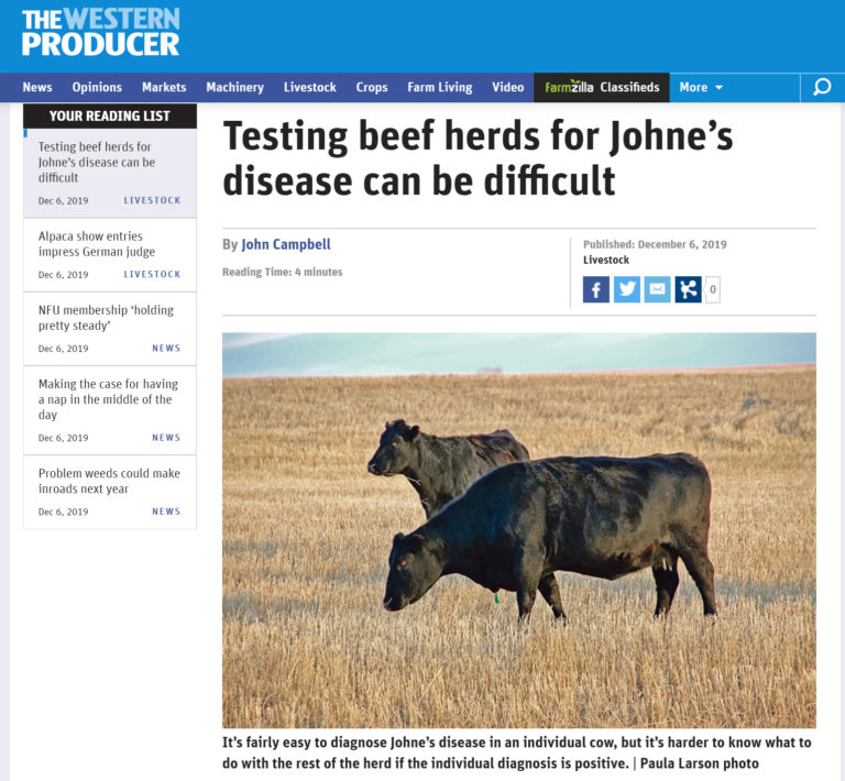 Testing Beef Cattle Herds Johnes Information Center Uwmadison 7995